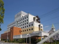 Hotel Numazu Castle 3*
