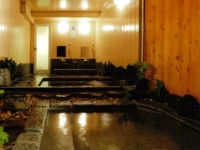 Hotel Royal Silk Inn 