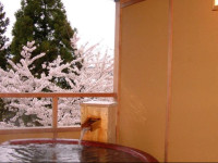 Hotel New Katsura