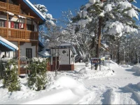 Alpine Wind 2*