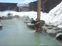Hotel Hakuba Goryu 