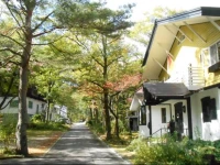 Pension nugget inn 