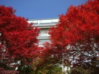 Ryokan Kikusuitei 