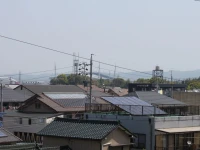 Palace Inn Toyota 3*