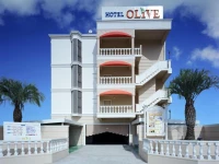 Hotel Olive Sakai 3*