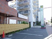 Kawasaki Green Plaza Hotel 3*