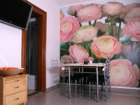 Varszallo apartman 