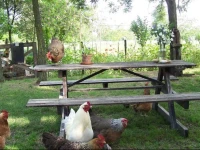 Chy-Kara Farm Camping 