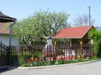 Kovacs Vendeghaz 