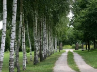 Villa Mamry 