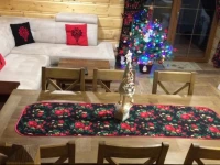 Domki-Apartamenty Trojaki przy Termach 