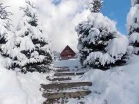 Caloroczne Domki Stokrotka 