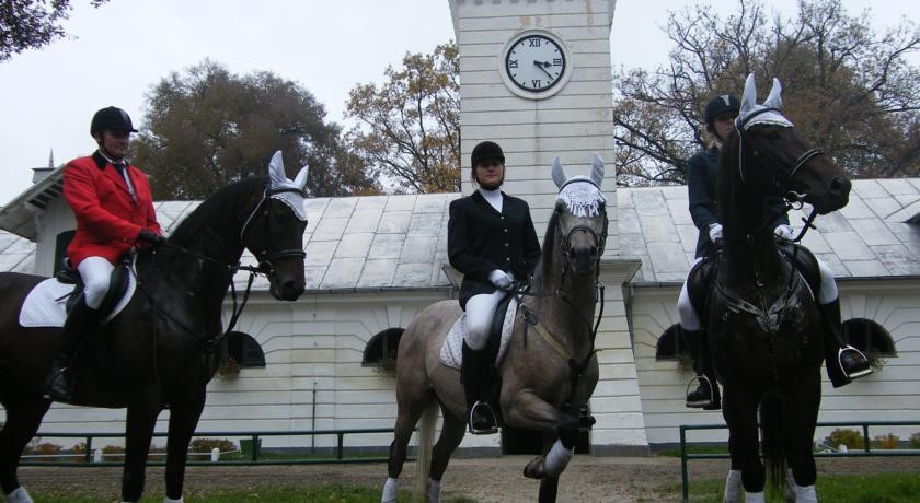 Noclegi Przy Stadninie 