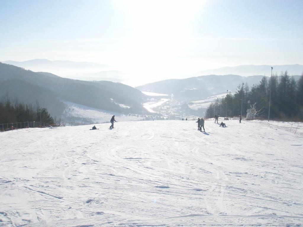 Domek Gloria nad Jeziorem Zywieckim 