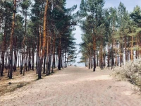 Osrodek Sea Star Premium 