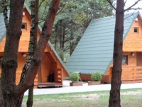 Domki nad Warta 