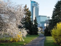 Studio Swietojanska 