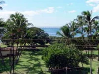 Island Surf by Kumulani Vacation & Realty 