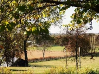 Halcombs Knob B&B 