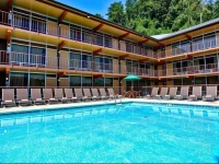 Wild Bear Inn 