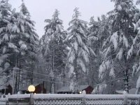 Sun Valley Cottages 3*