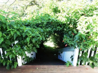 Pahala Plantation Cottages