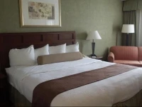 Best Western Plus Marietta Hotel 