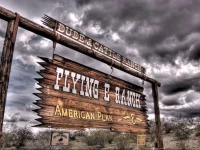 Flying E Ranch 