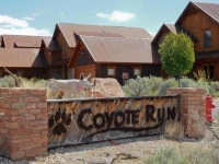 Coyote Run 9 