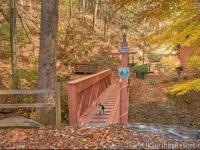 Bear Creek 