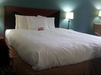 Quality Inn Leesburg 