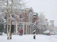 Winterpoint 41 