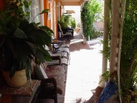 Mardi Gras Motel 