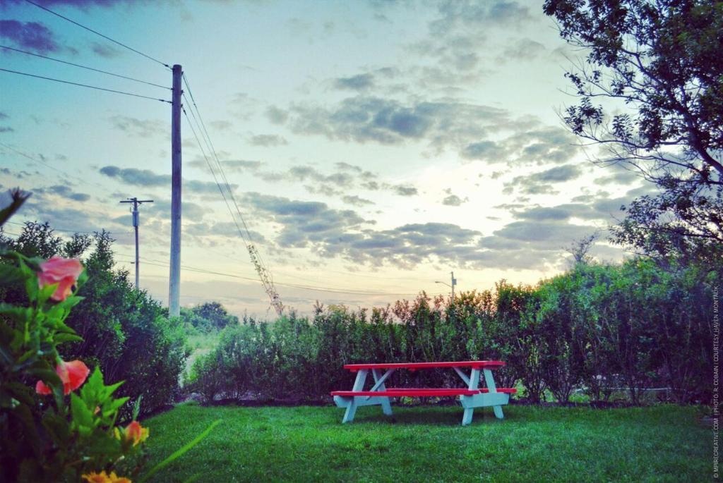 Haven Montauk 