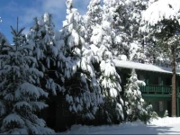 TimberLodge Inn 