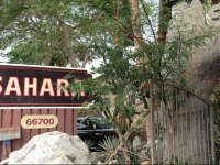 Sahara Mineral Hot Springs Spa & Resort 