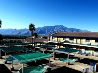 Desert Palm Spa Resort 3*
