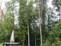 Misty Mountain Inn 3*