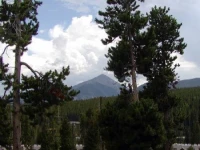 Timber Ridge 