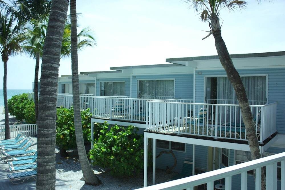 Coquina on the Beach 
