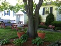 Founders Brook Motel and Suites 2*