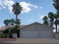 Jamaican Palms by Destination Havasu 