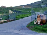 Wild Coyote Winery - Bed & Breakfast 2*