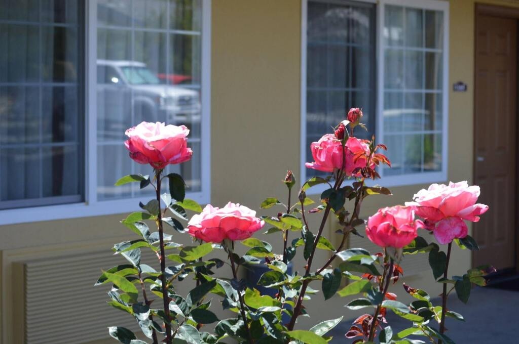Budget Inn of Paso Robles 3*