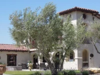 Croad Vineyards - The Inn 