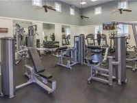 Cinnamon Beach 565 by Vacation Rental Pros 
