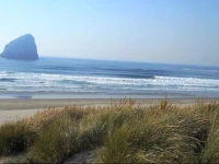Shorepine Vacation Rentals 