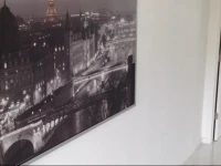 Elisa Condo 
