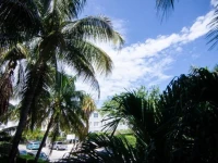 South Beach Miami Servirents 