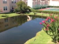 Florida Dreams Vacations 